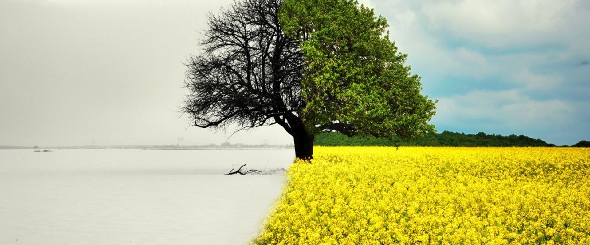 Optimal Seasons for Long-Distance Moves: A Comprehensive Look