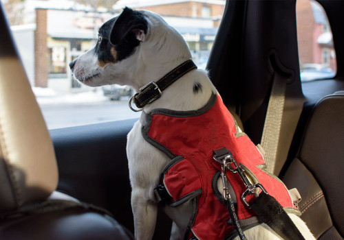 Navigating Long-Distance Transportation Logistics for Pets and Vehicles