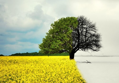 Optimal Seasons for Long-Distance Moves: A Comprehensive Look